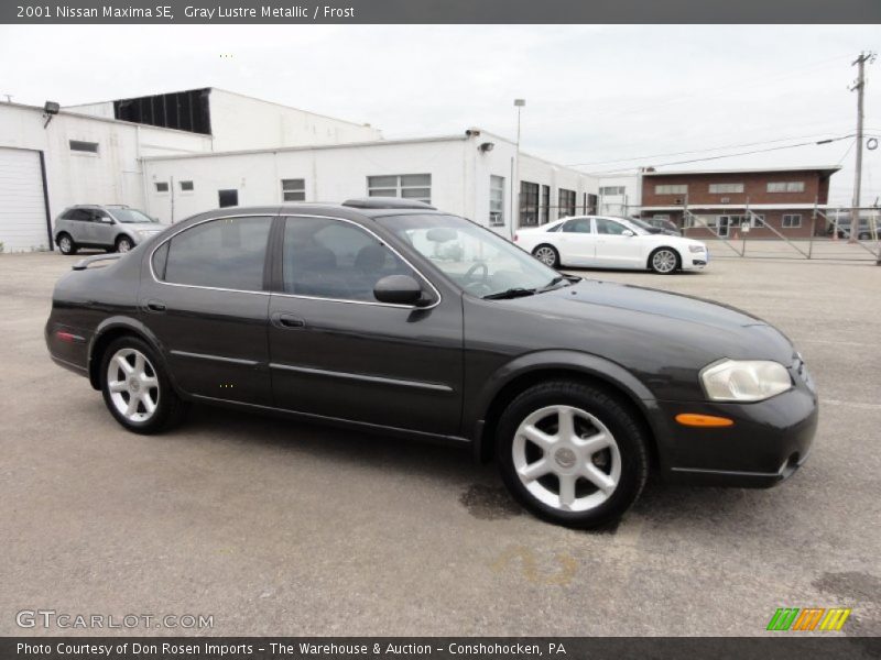 Gray Lustre Metallic / Frost 2001 Nissan Maxima SE