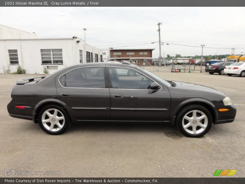 Gray Lustre Metallic / Frost 2001 Nissan Maxima SE