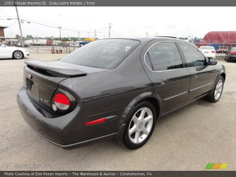 Gray Lustre Metallic / Frost 2001 Nissan Maxima SE