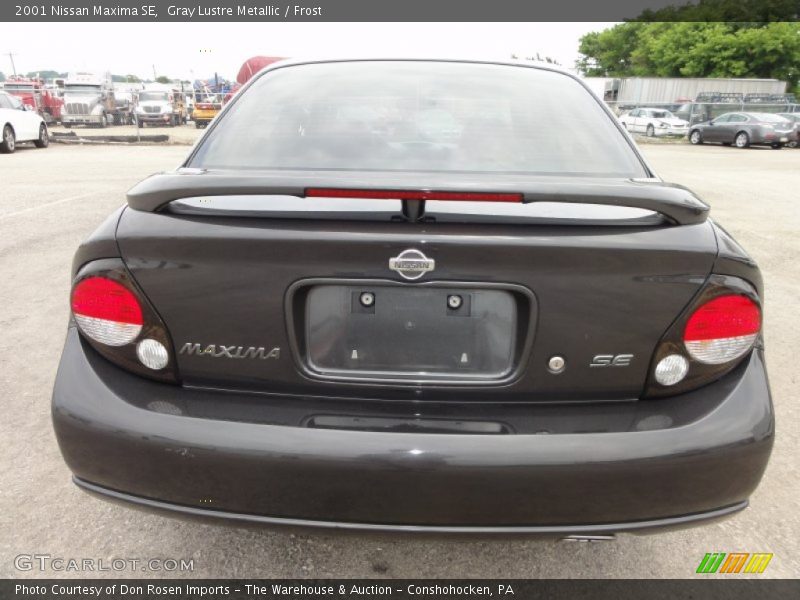 Gray Lustre Metallic / Frost 2001 Nissan Maxima SE