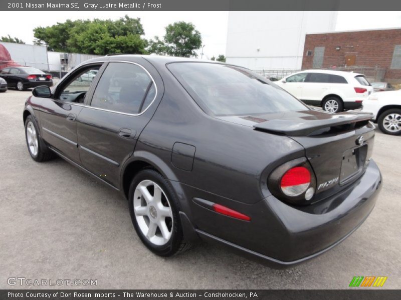 Gray Lustre Metallic / Frost 2001 Nissan Maxima SE
