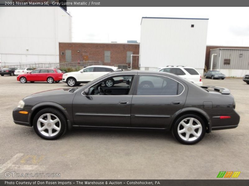 Gray Lustre Metallic / Frost 2001 Nissan Maxima SE
