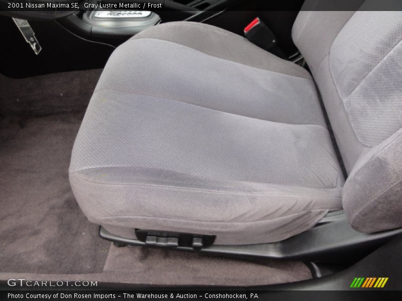 Gray Lustre Metallic / Frost 2001 Nissan Maxima SE