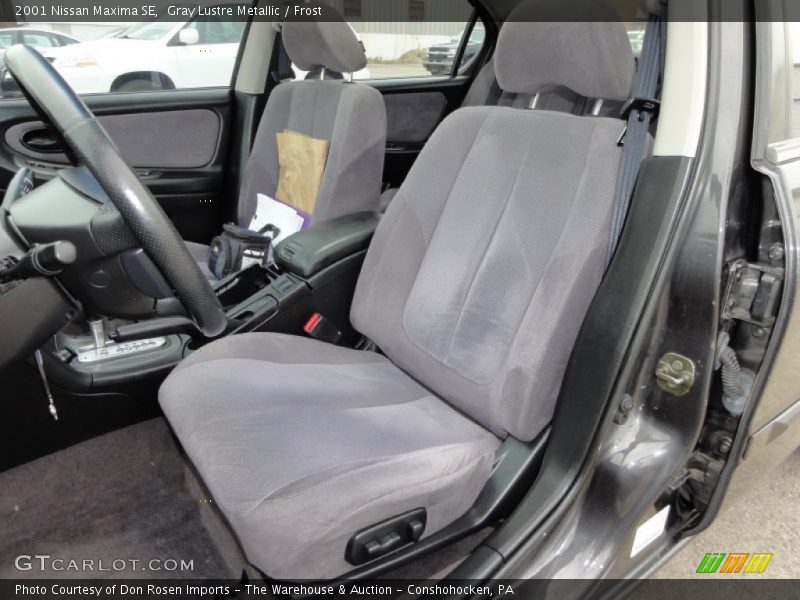 Gray Lustre Metallic / Frost 2001 Nissan Maxima SE