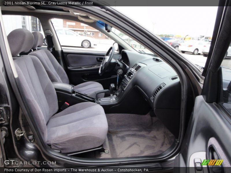 Gray Lustre Metallic / Frost 2001 Nissan Maxima SE