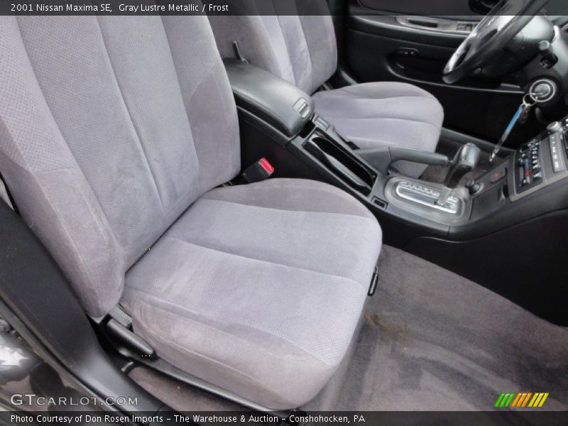 Gray Lustre Metallic / Frost 2001 Nissan Maxima SE