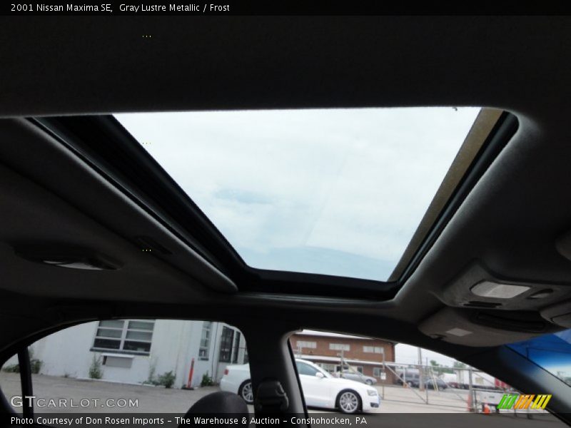 Gray Lustre Metallic / Frost 2001 Nissan Maxima SE