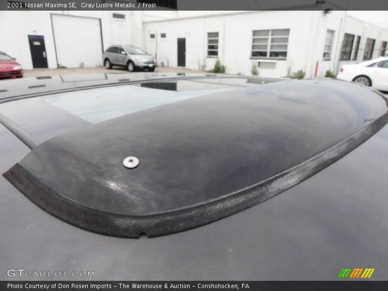 Gray Lustre Metallic / Frost 2001 Nissan Maxima SE