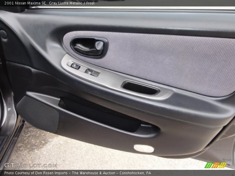 Gray Lustre Metallic / Frost 2001 Nissan Maxima SE