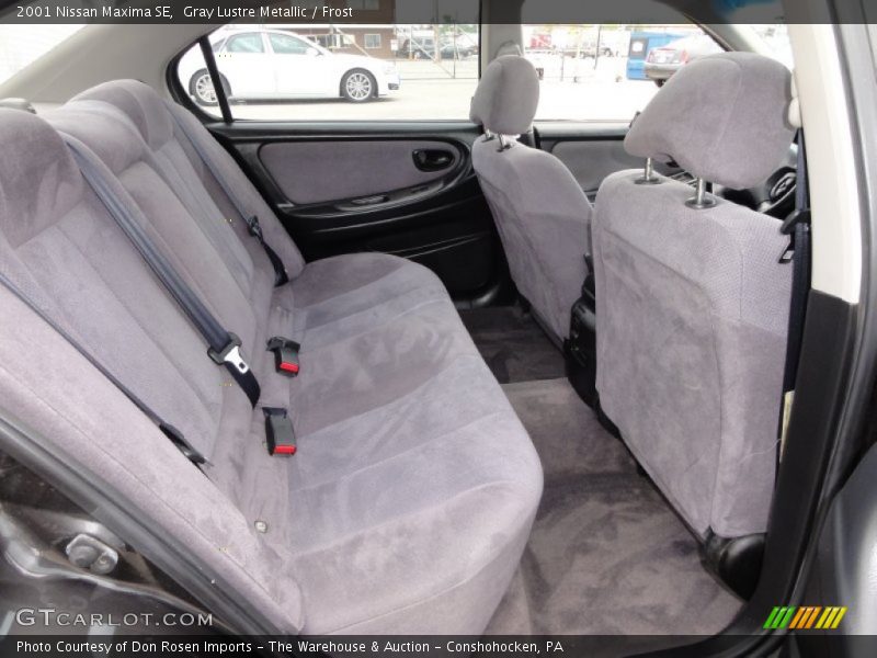 Gray Lustre Metallic / Frost 2001 Nissan Maxima SE
