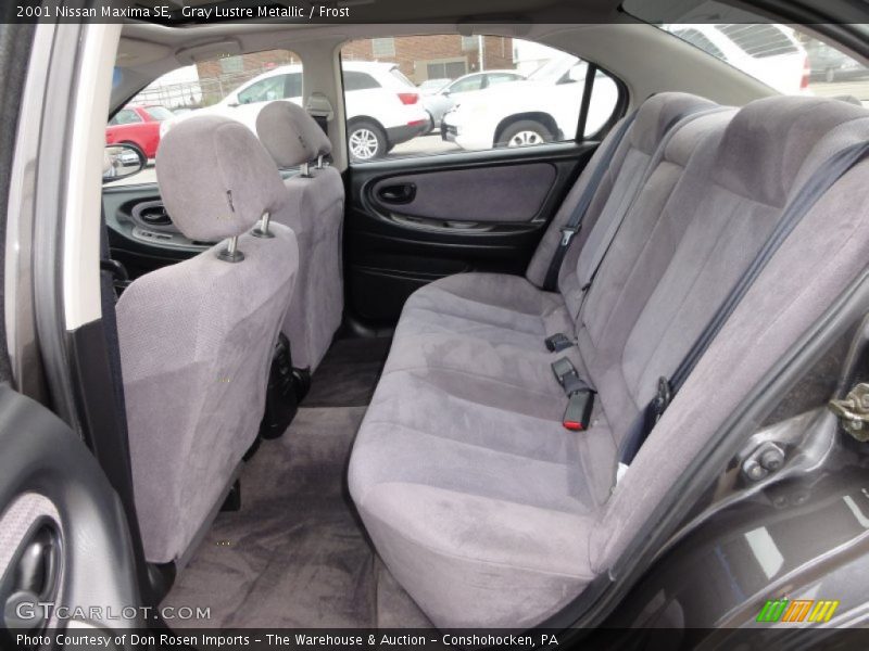 Gray Lustre Metallic / Frost 2001 Nissan Maxima SE
