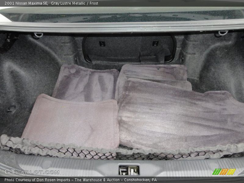 Gray Lustre Metallic / Frost 2001 Nissan Maxima SE