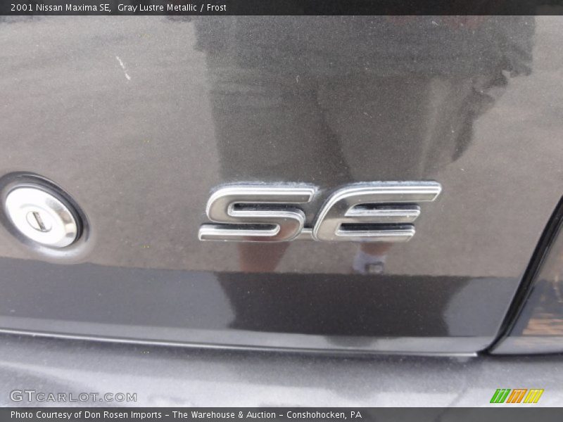Gray Lustre Metallic / Frost 2001 Nissan Maxima SE
