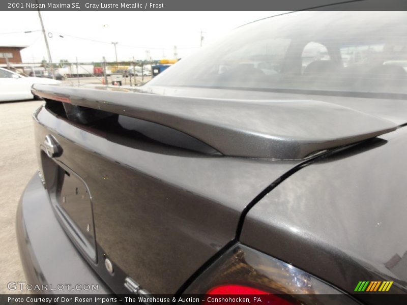 Gray Lustre Metallic / Frost 2001 Nissan Maxima SE