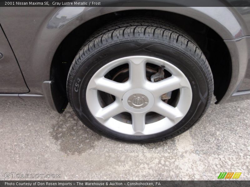 Gray Lustre Metallic / Frost 2001 Nissan Maxima SE