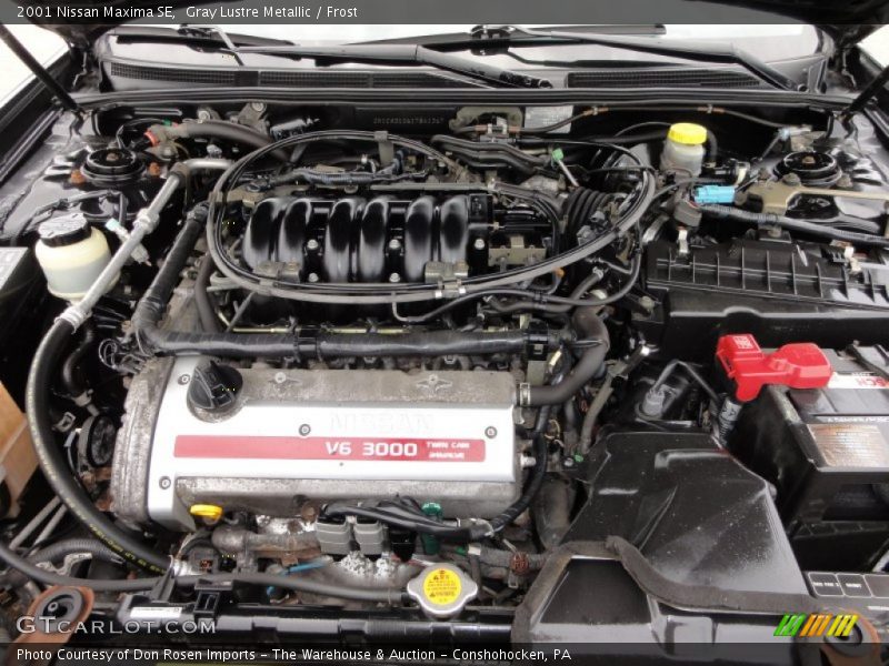 Gray Lustre Metallic / Frost 2001 Nissan Maxima SE