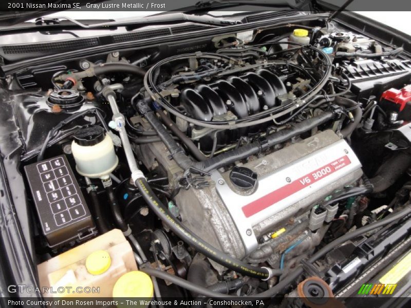 Gray Lustre Metallic / Frost 2001 Nissan Maxima SE