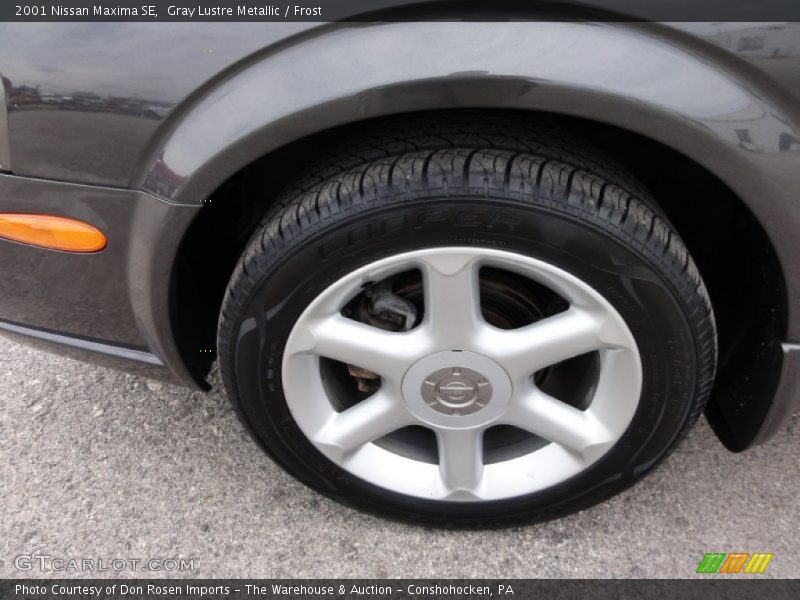Gray Lustre Metallic / Frost 2001 Nissan Maxima SE