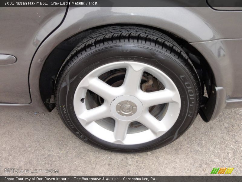 Gray Lustre Metallic / Frost 2001 Nissan Maxima SE