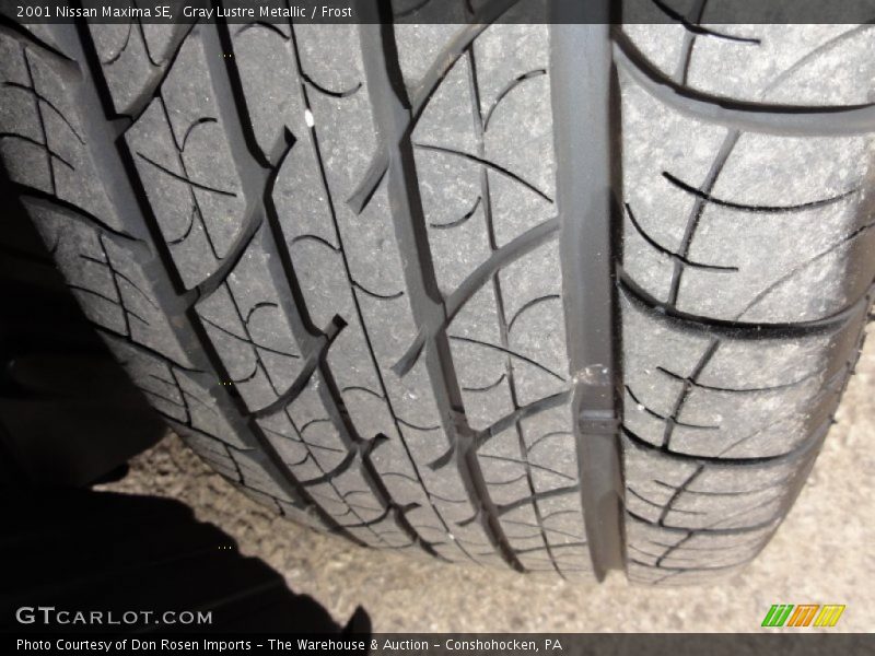 Gray Lustre Metallic / Frost 2001 Nissan Maxima SE