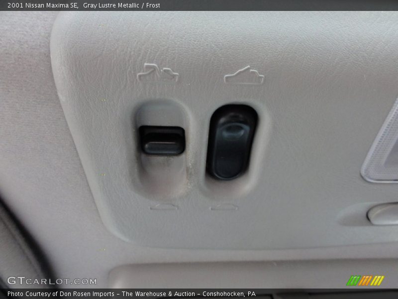 Gray Lustre Metallic / Frost 2001 Nissan Maxima SE