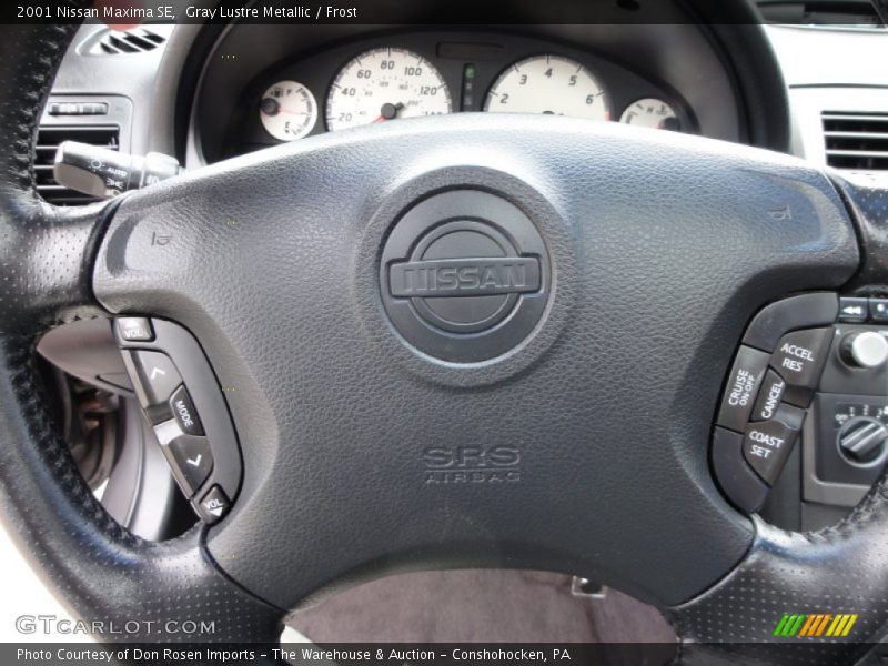Gray Lustre Metallic / Frost 2001 Nissan Maxima SE