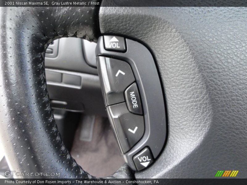 Gray Lustre Metallic / Frost 2001 Nissan Maxima SE
