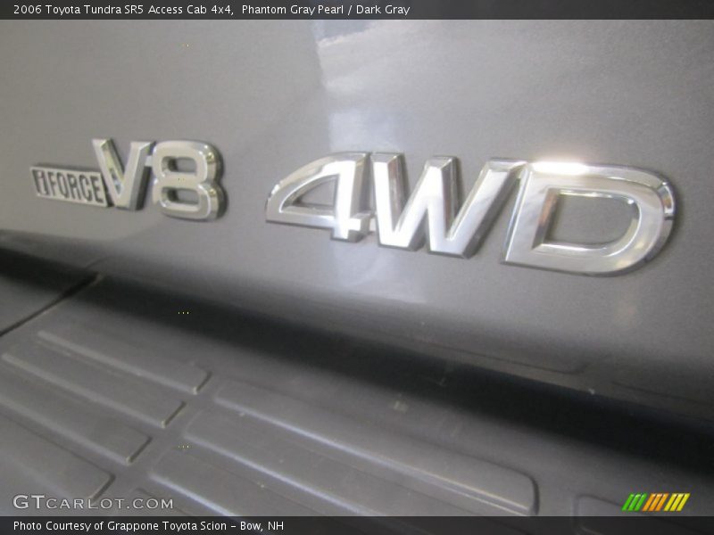 Phantom Gray Pearl / Dark Gray 2006 Toyota Tundra SR5 Access Cab 4x4