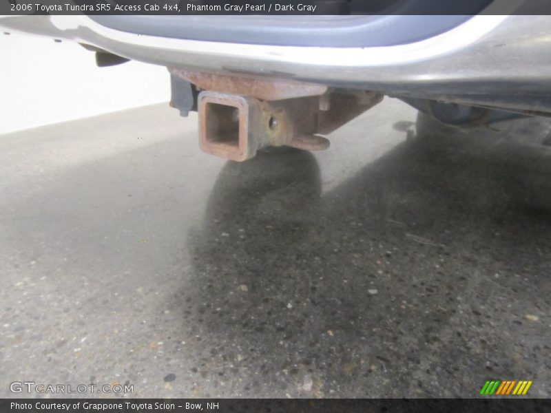 Phantom Gray Pearl / Dark Gray 2006 Toyota Tundra SR5 Access Cab 4x4