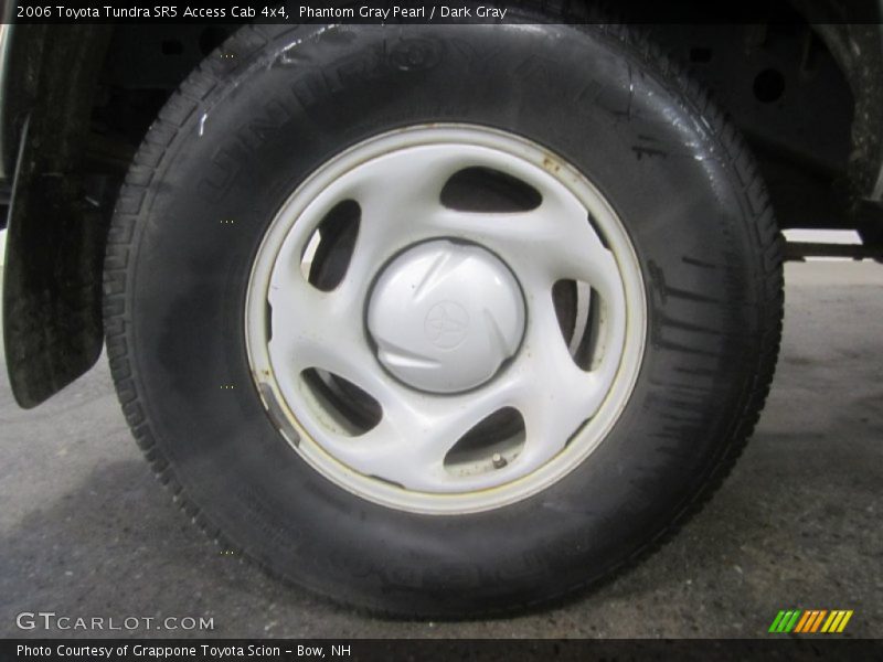 Phantom Gray Pearl / Dark Gray 2006 Toyota Tundra SR5 Access Cab 4x4
