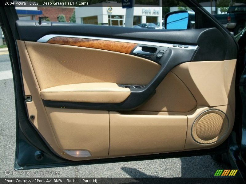 Door Panel of 2004 TL 3.2