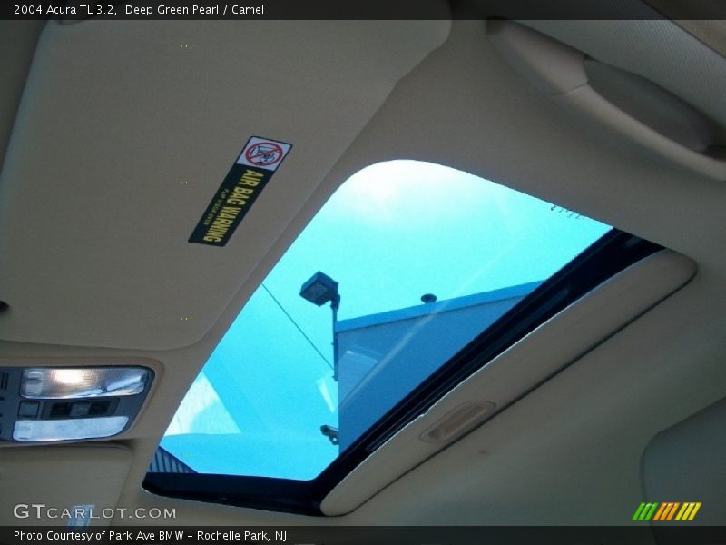 Deep Green Pearl / Camel 2004 Acura TL 3.2
