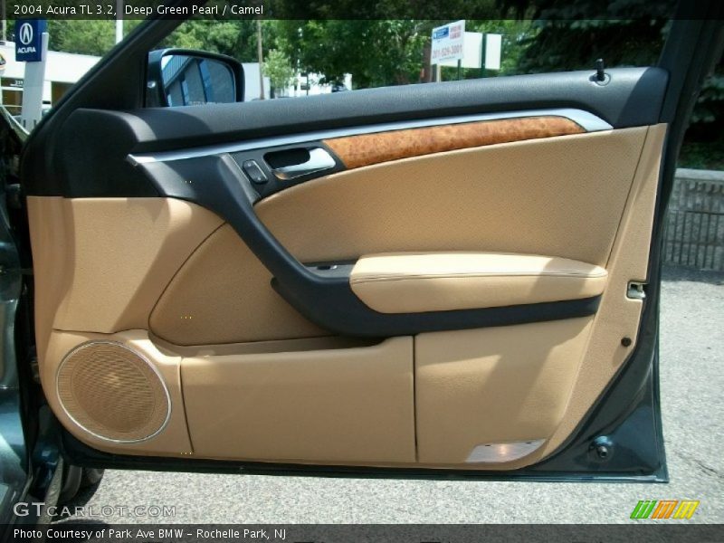 Door Panel of 2004 TL 3.2