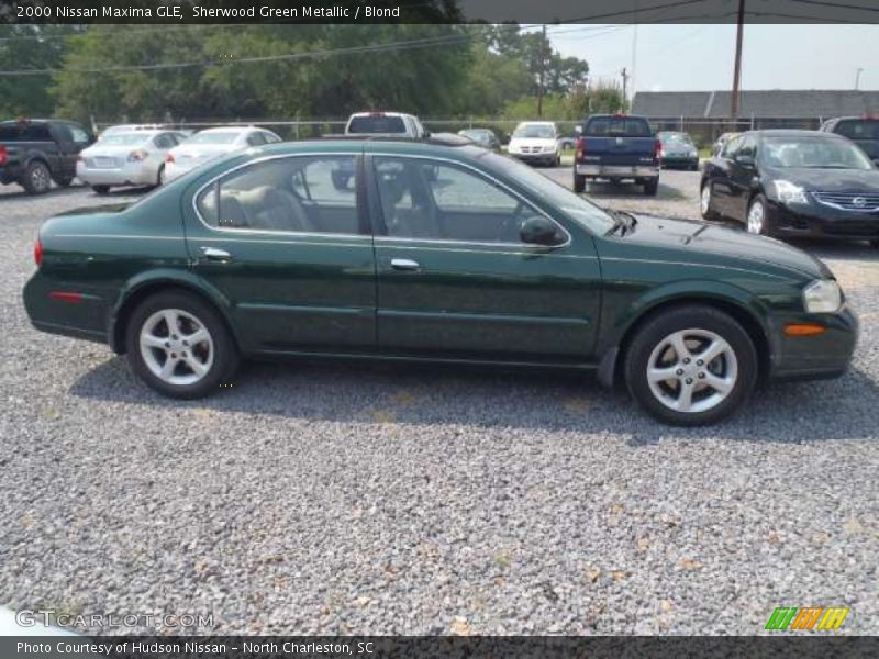Sherwood Green Metallic / Blond 2000 Nissan Maxima GLE