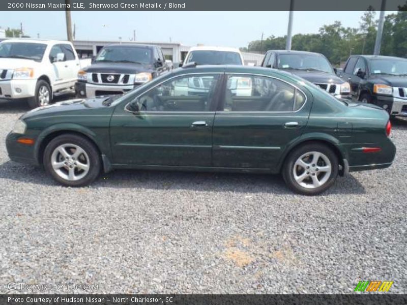 Sherwood Green Metallic / Blond 2000 Nissan Maxima GLE