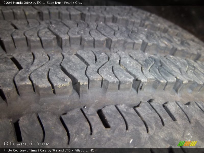Sage Brush Pearl / Gray 2004 Honda Odyssey EX-L