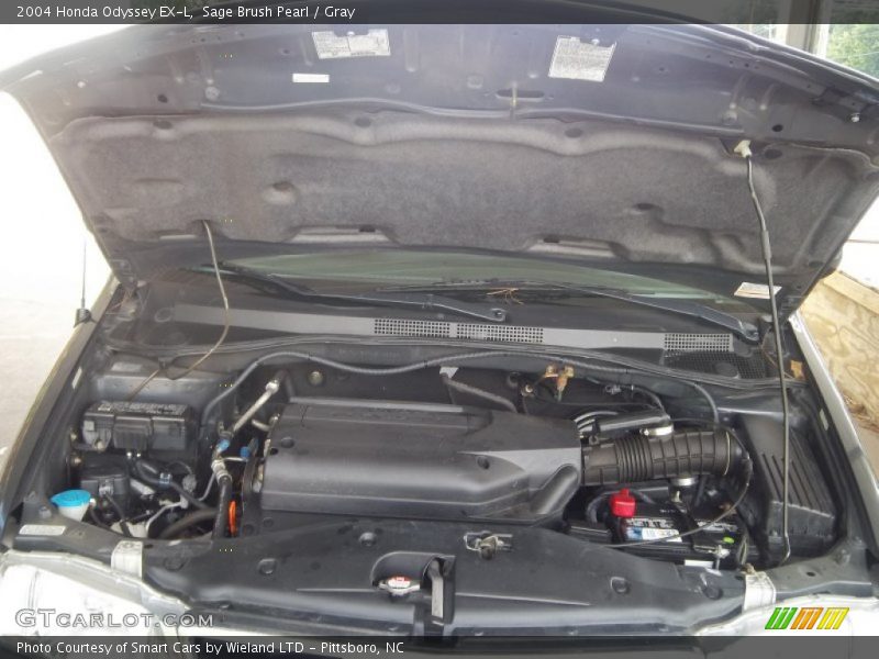 Sage Brush Pearl / Gray 2004 Honda Odyssey EX-L