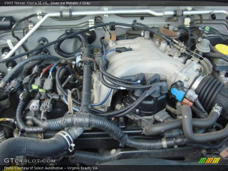 Silver Ice Metallic / Gray 2003 Nissan Xterra SE V6