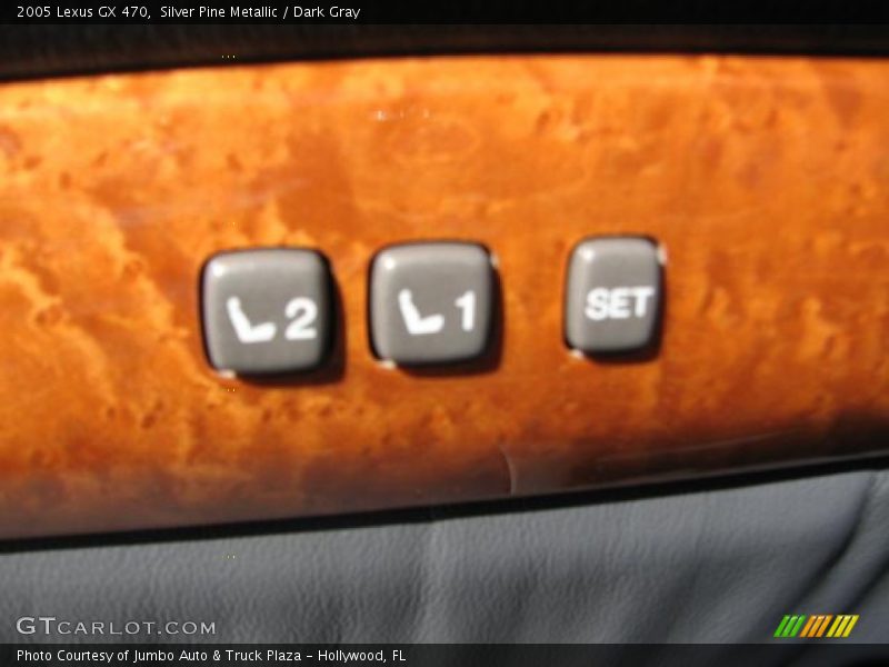 Silver Pine Metallic / Dark Gray 2005 Lexus GX 470