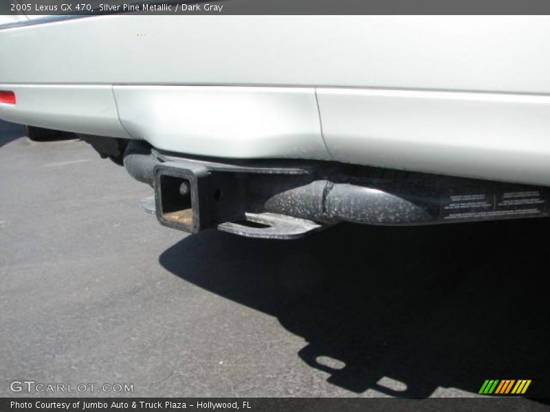 Silver Pine Metallic / Dark Gray 2005 Lexus GX 470
