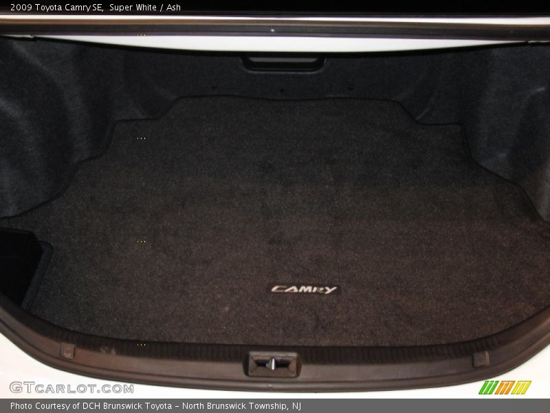 Super White / Ash 2009 Toyota Camry SE