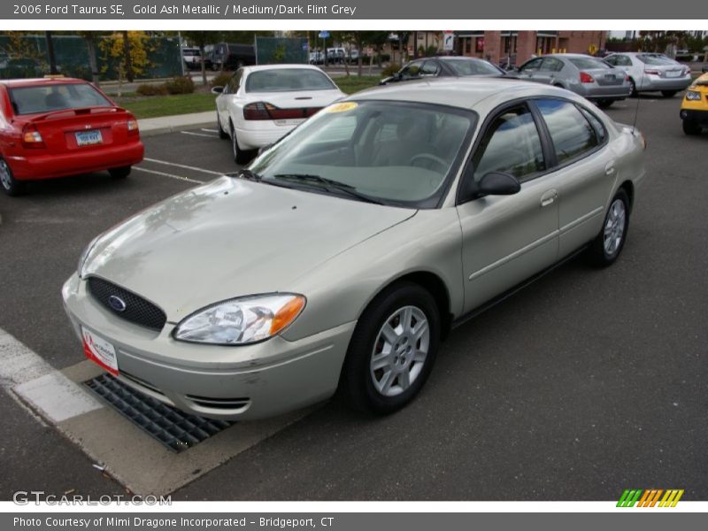 Gold Ash Metallic / Medium/Dark Flint Grey 2006 Ford Taurus SE