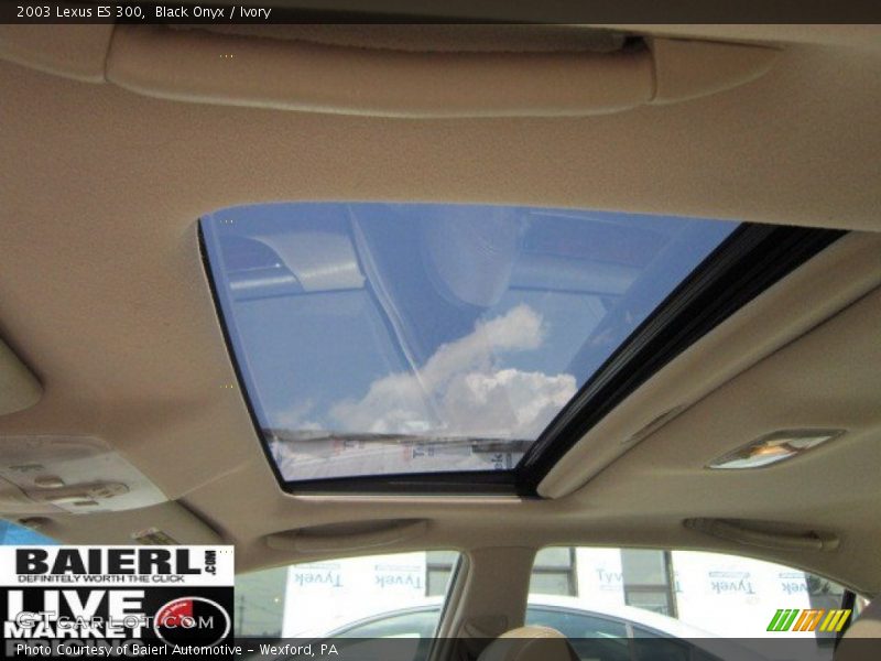 Black Onyx / Ivory 2003 Lexus ES 300