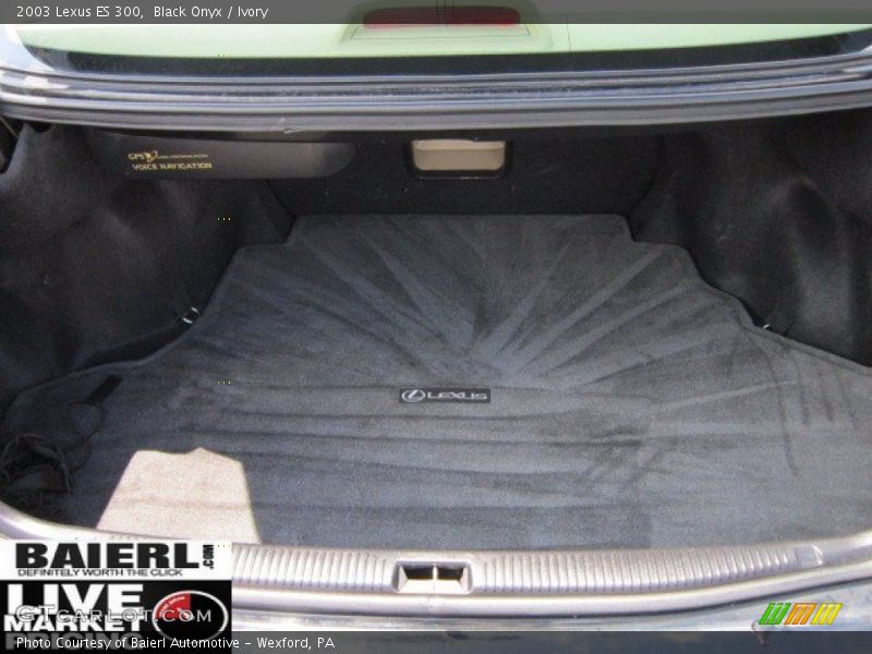 Black Onyx / Ivory 2003 Lexus ES 300