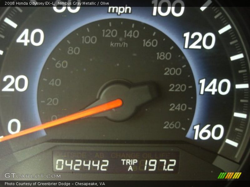 Nimbus Gray Metallic / Olive 2008 Honda Odyssey EX-L
