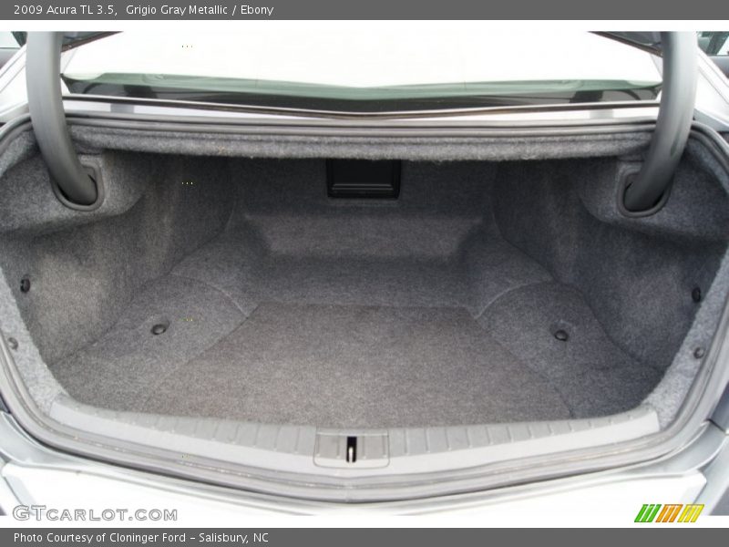 Grigio Gray Metallic / Ebony 2009 Acura TL 3.5