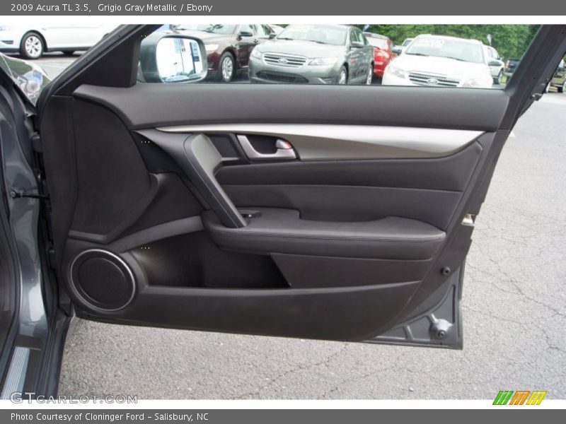 Grigio Gray Metallic / Ebony 2009 Acura TL 3.5