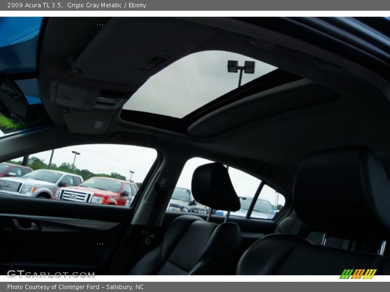 Grigio Gray Metallic / Ebony 2009 Acura TL 3.5