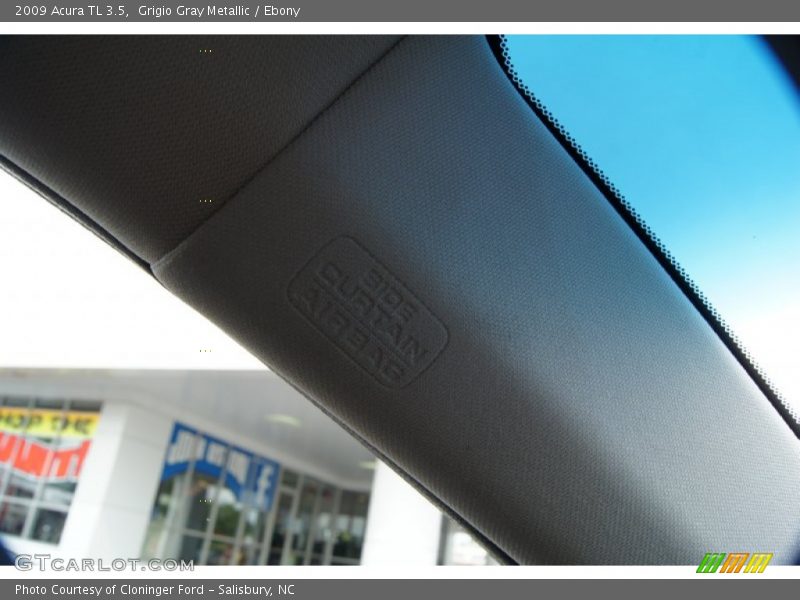 Grigio Gray Metallic / Ebony 2009 Acura TL 3.5