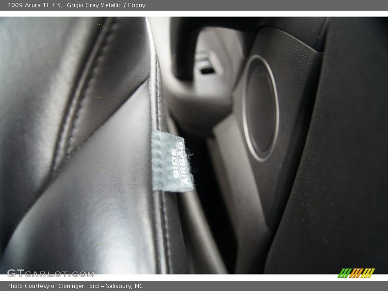 Grigio Gray Metallic / Ebony 2009 Acura TL 3.5